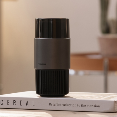 P05 Car Air Purifier